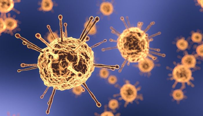 coronavirus-